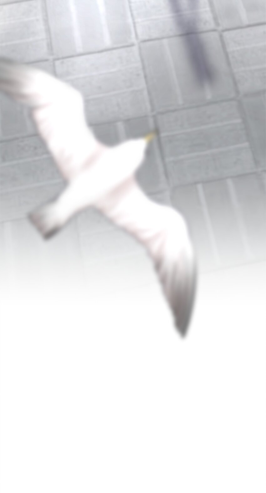 第37章 只在上空盘旋飞舞45
