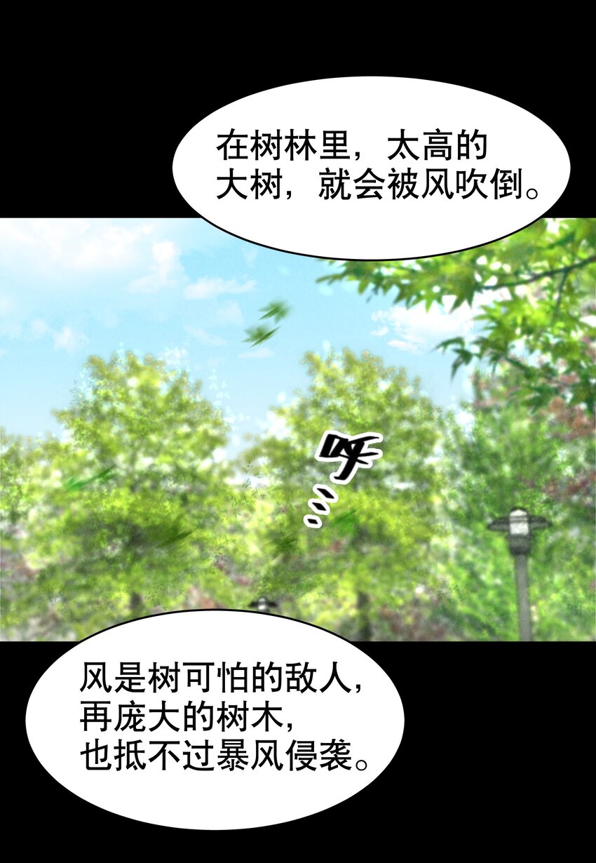 第9章 有风有木8