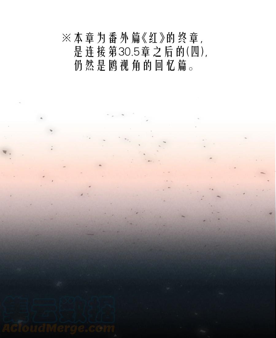 第44.5 番外——红（四）2