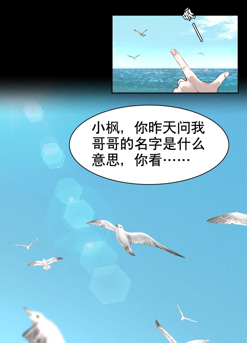 第6章 洁白如美玉的鸥鸟24