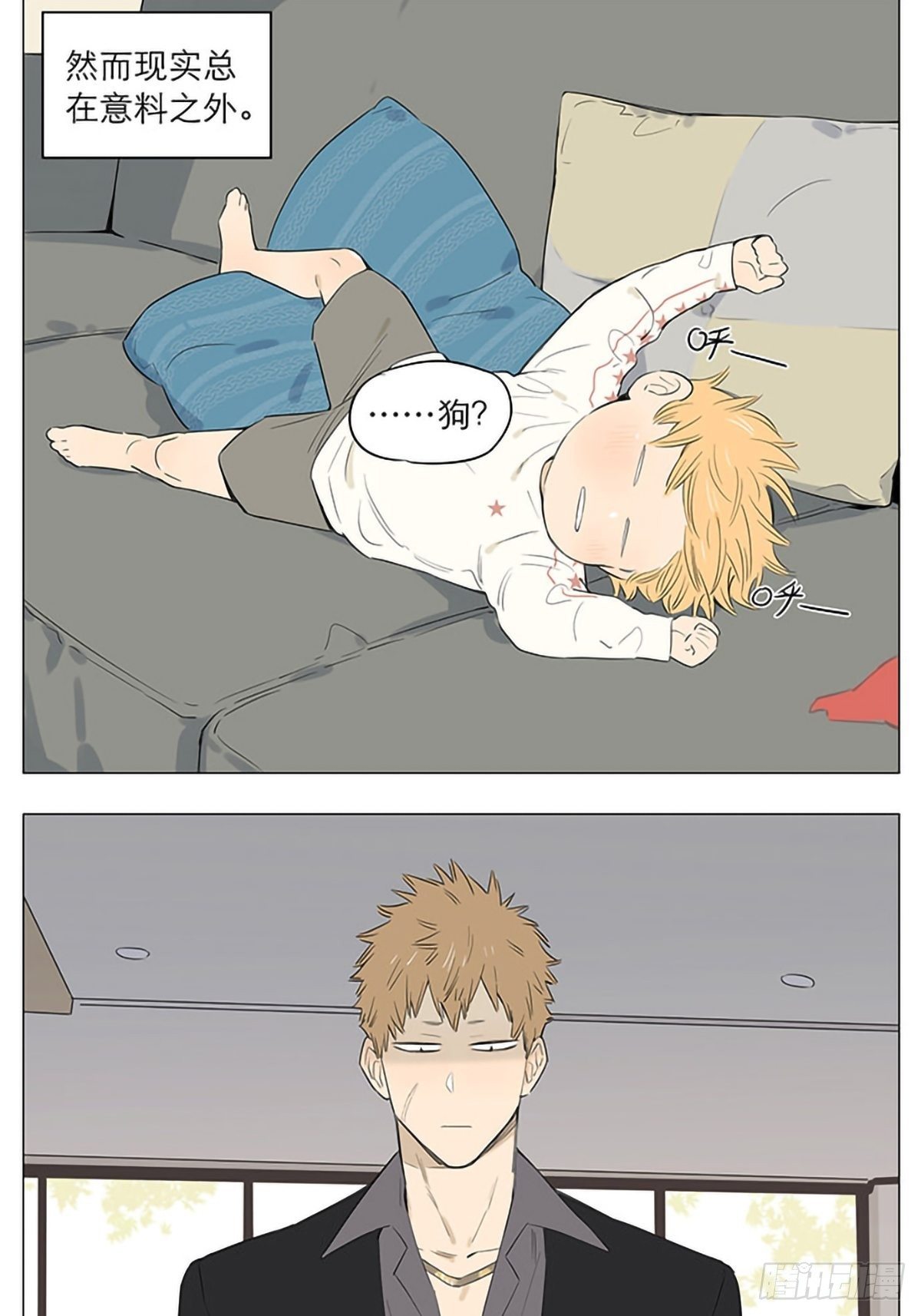 养狗。3