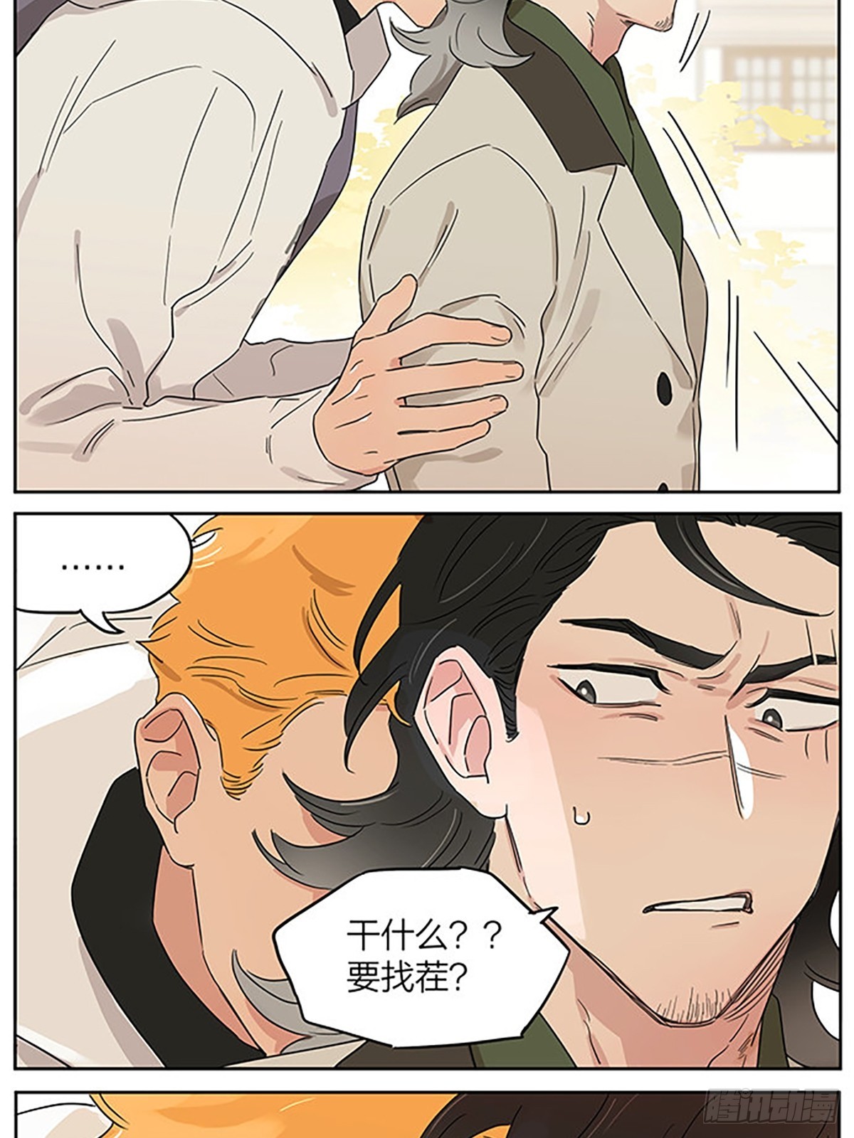 撸猫12