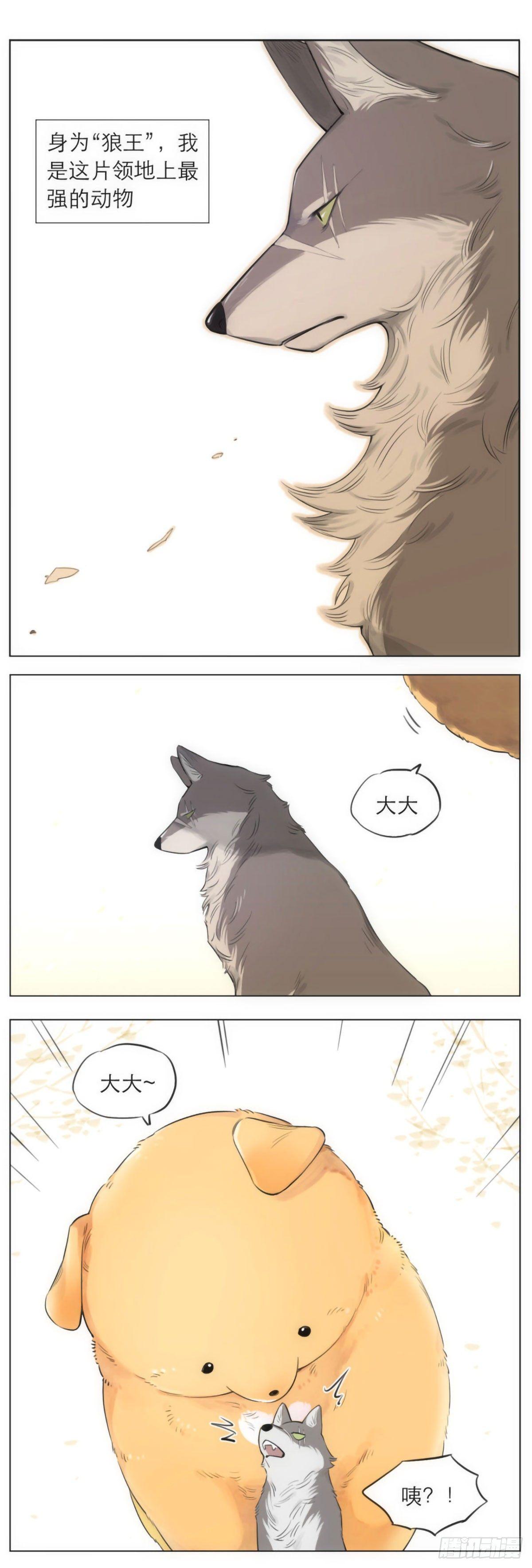 狼王的梦0