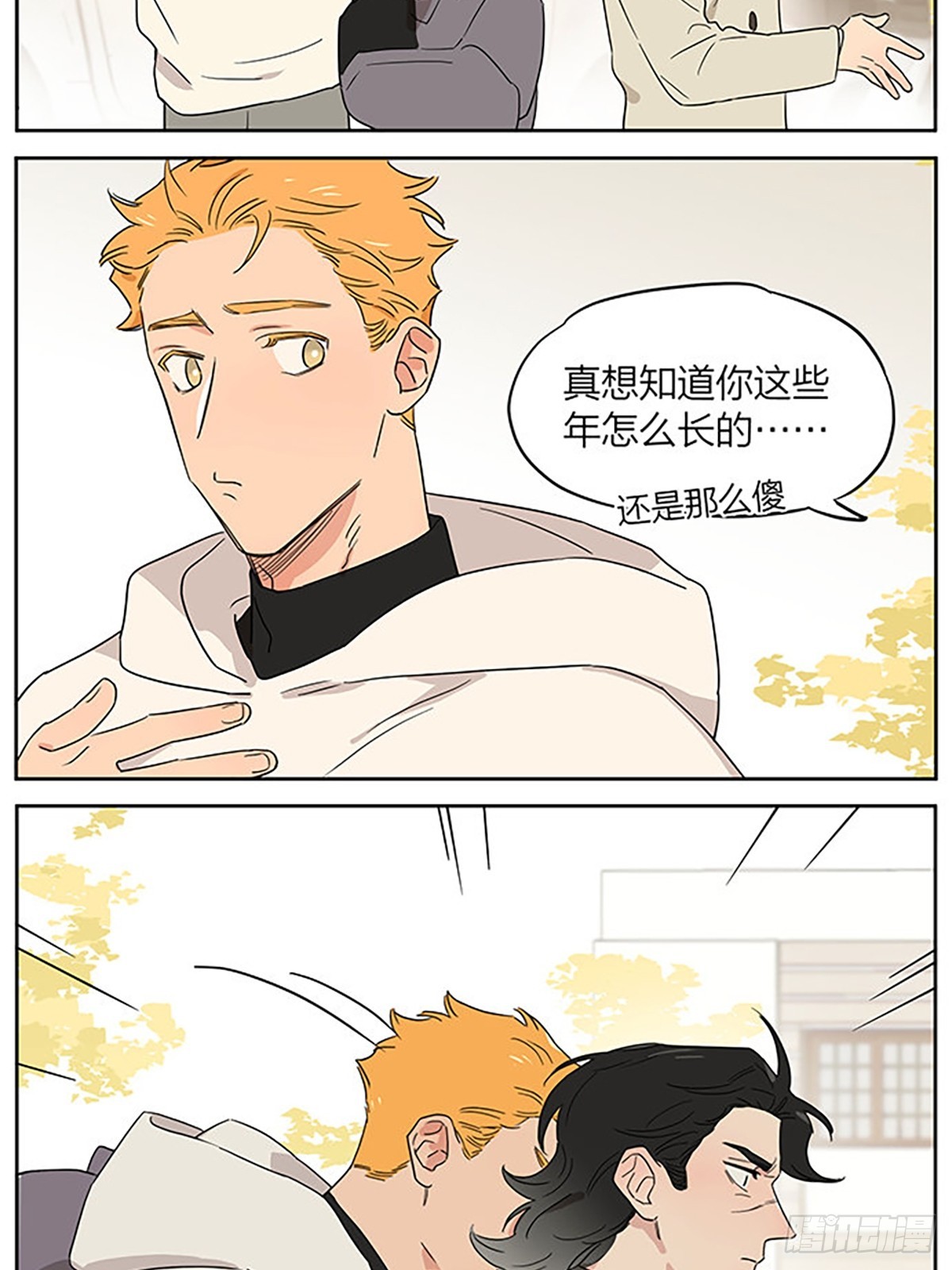 撸猫11