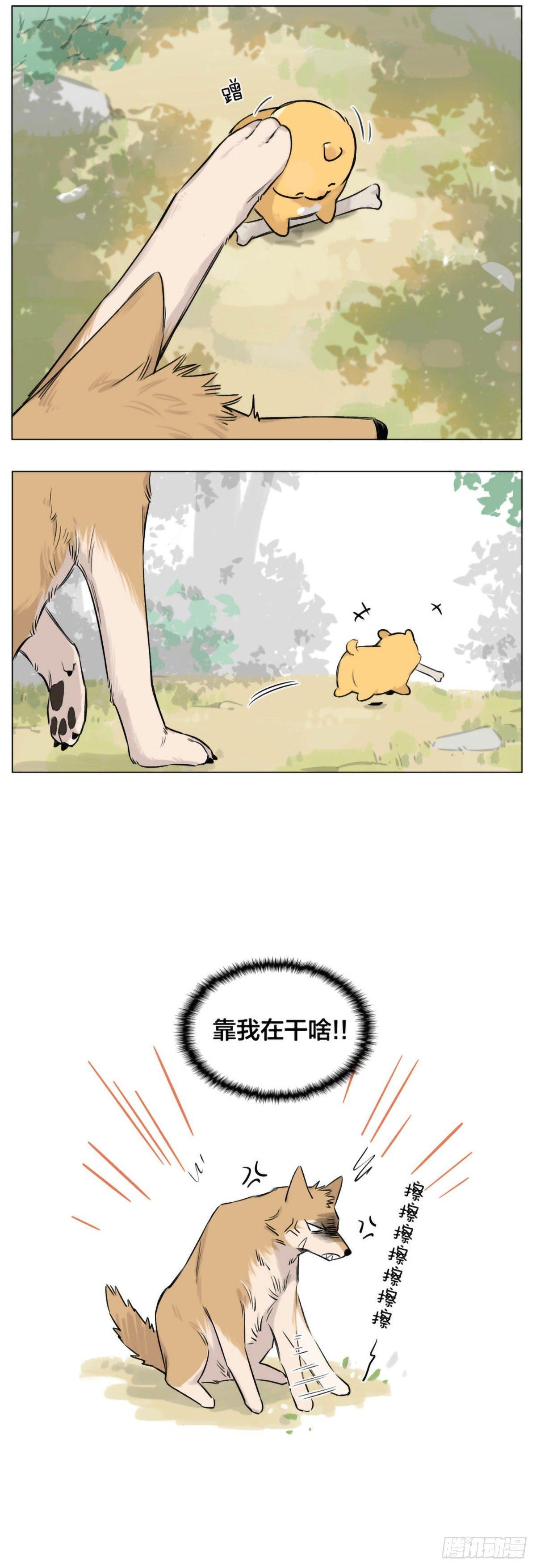 狼王给的骨头4