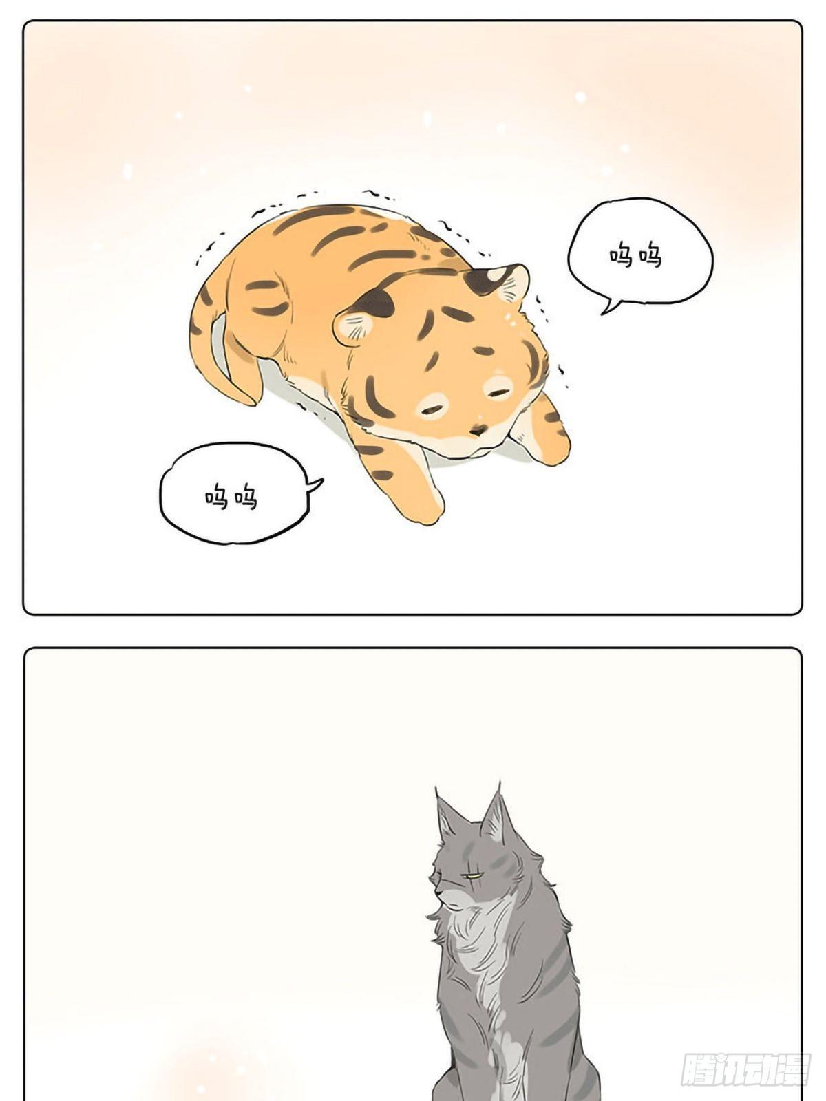 如果他们是猫。 ​​​​3