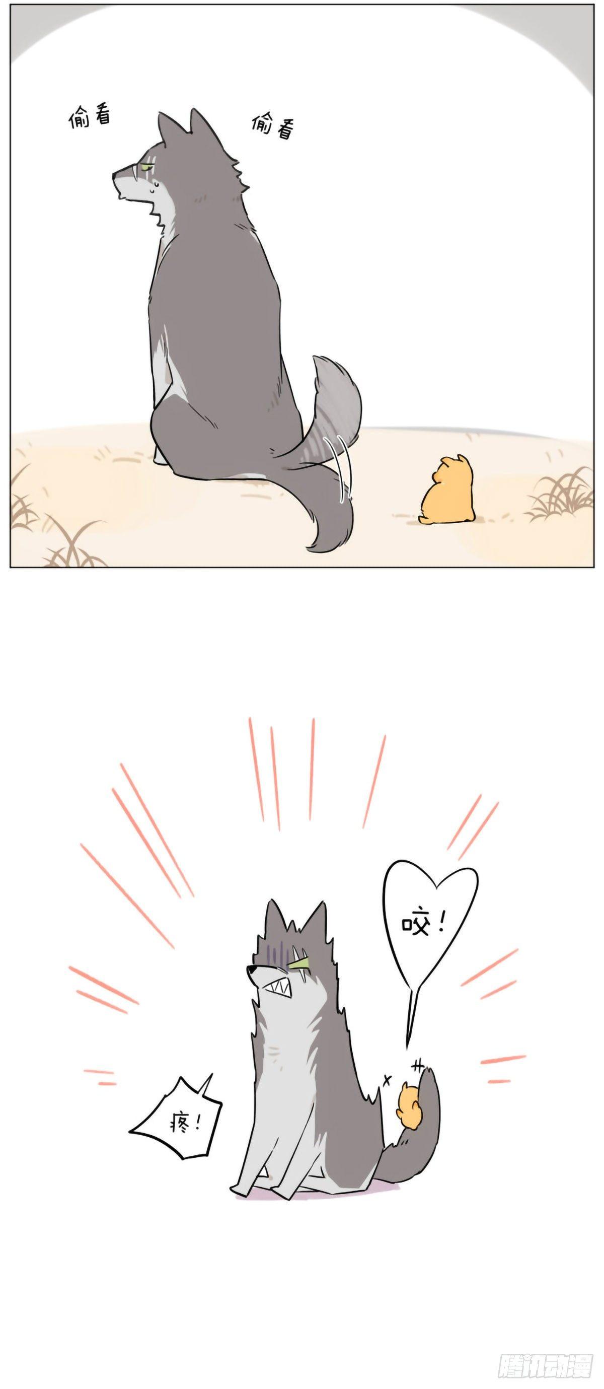 狼王的尾巴5