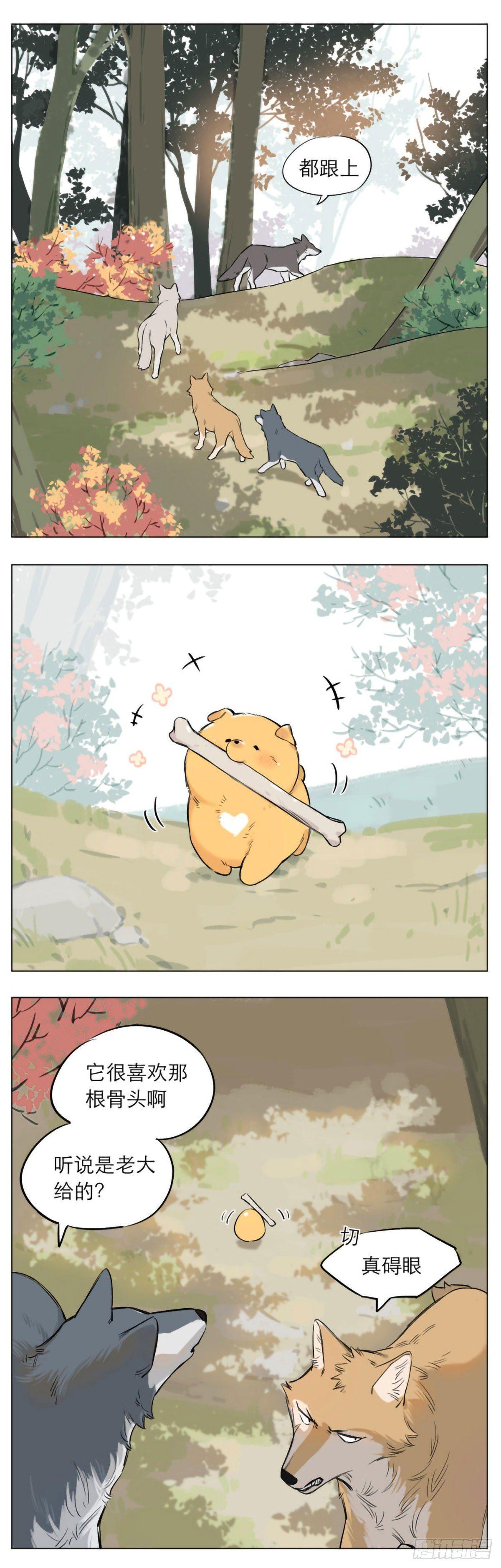 狼王给的骨头0
