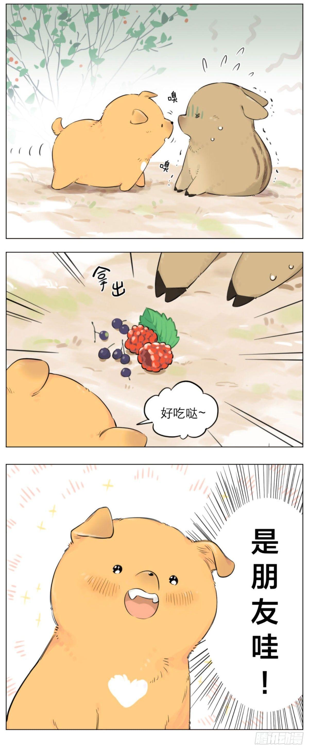 狼王不在的一天1