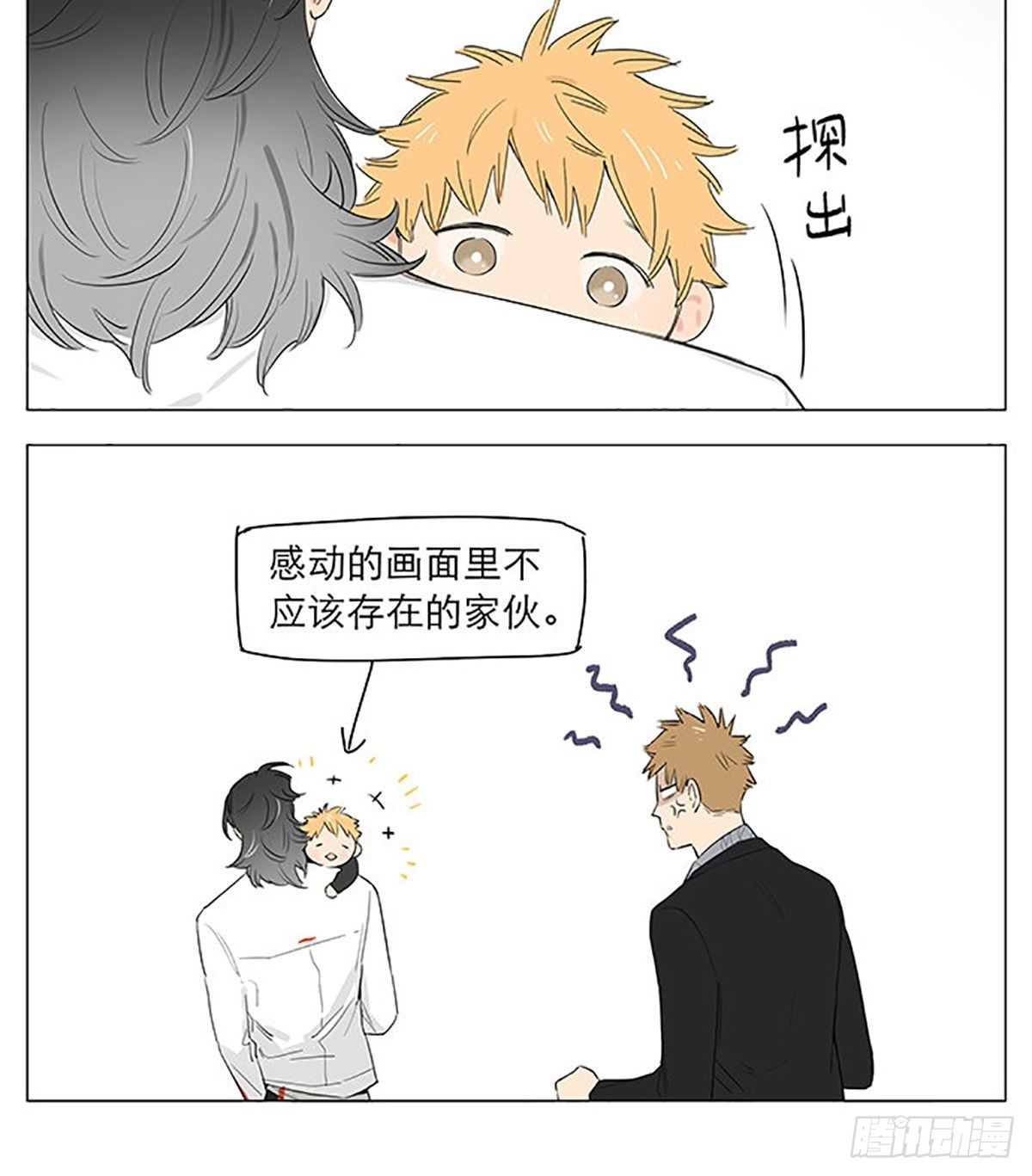 资格。3