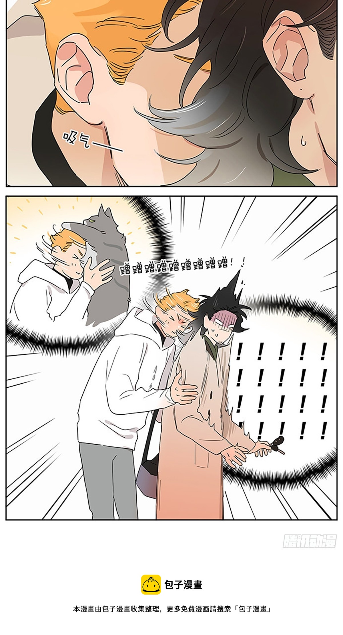 撸猫13