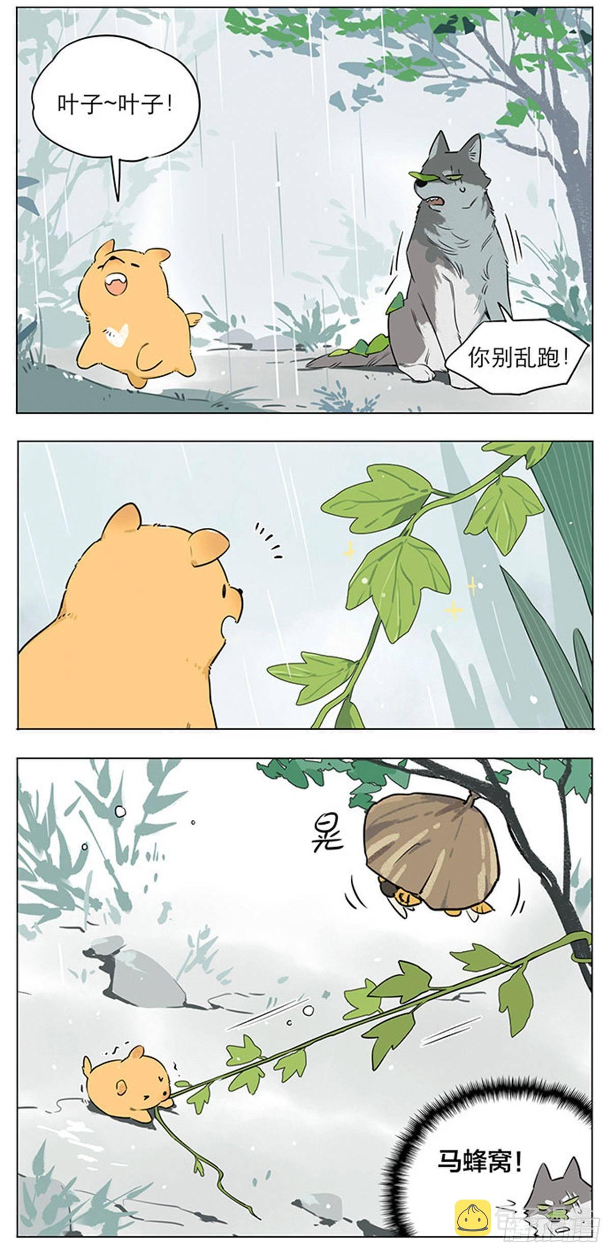 下雨天的狼王4