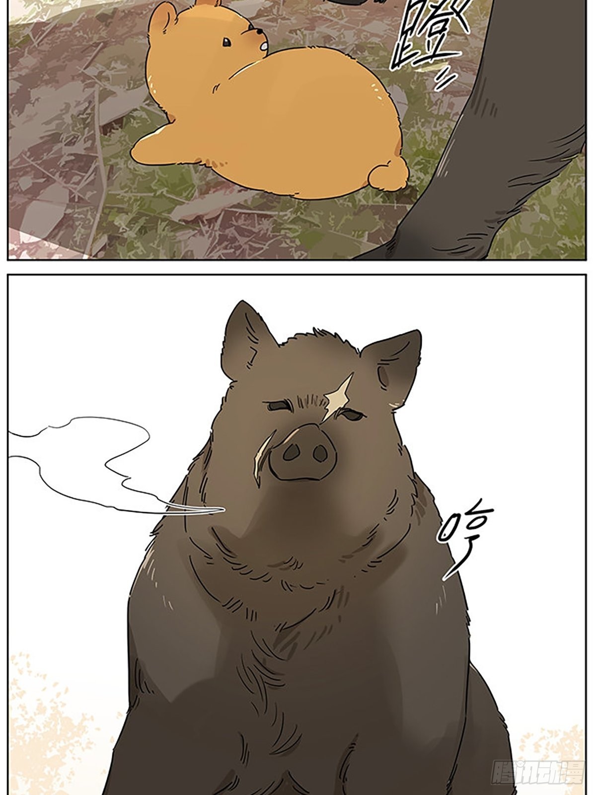 小狗的故事5