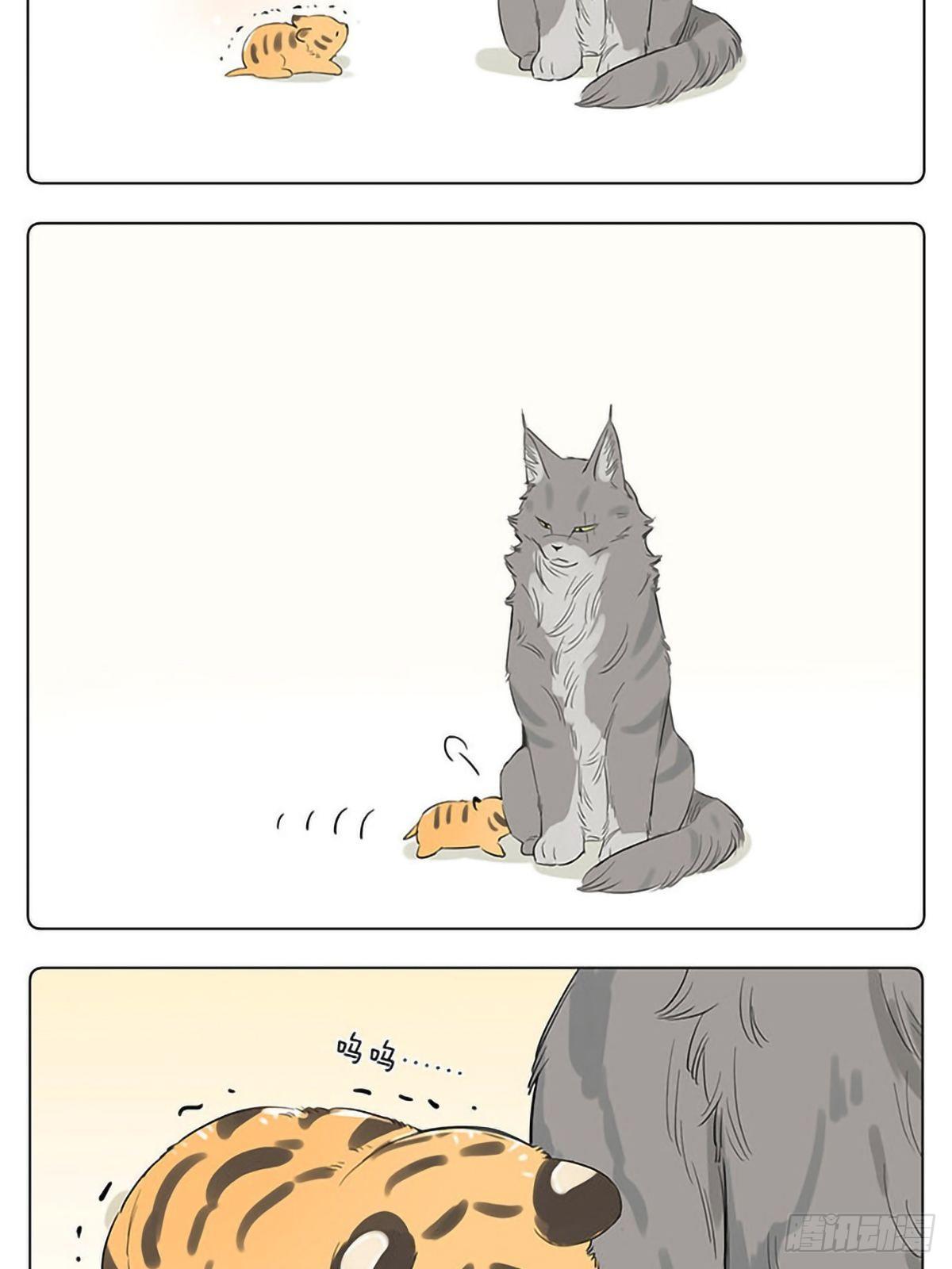 如果他们是猫。 ​​​​4
