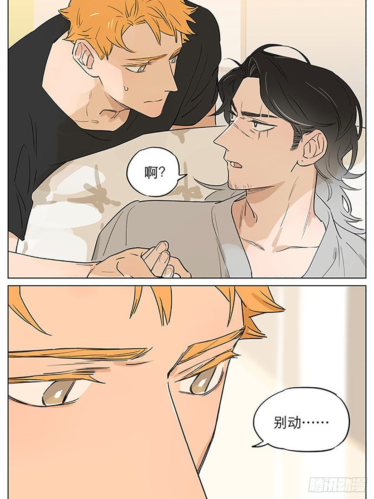 来一丢丢大土豆。10
