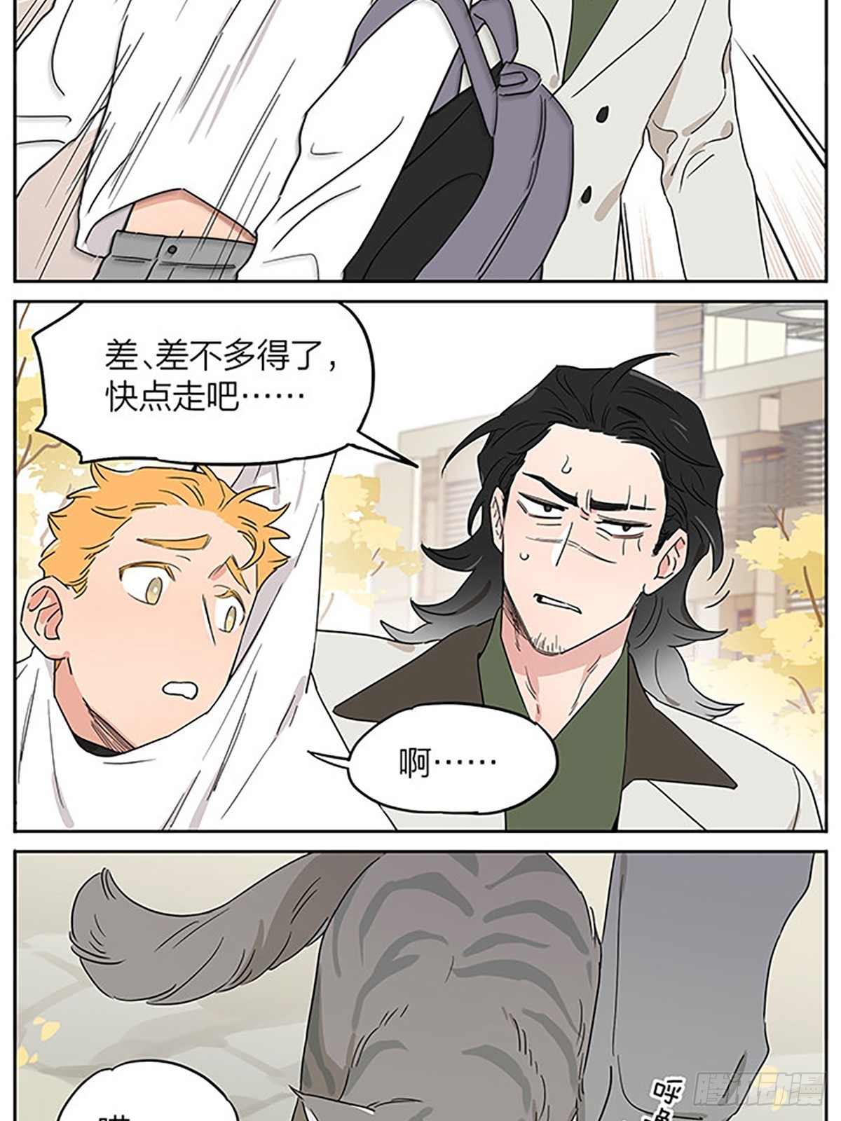 撸猫7