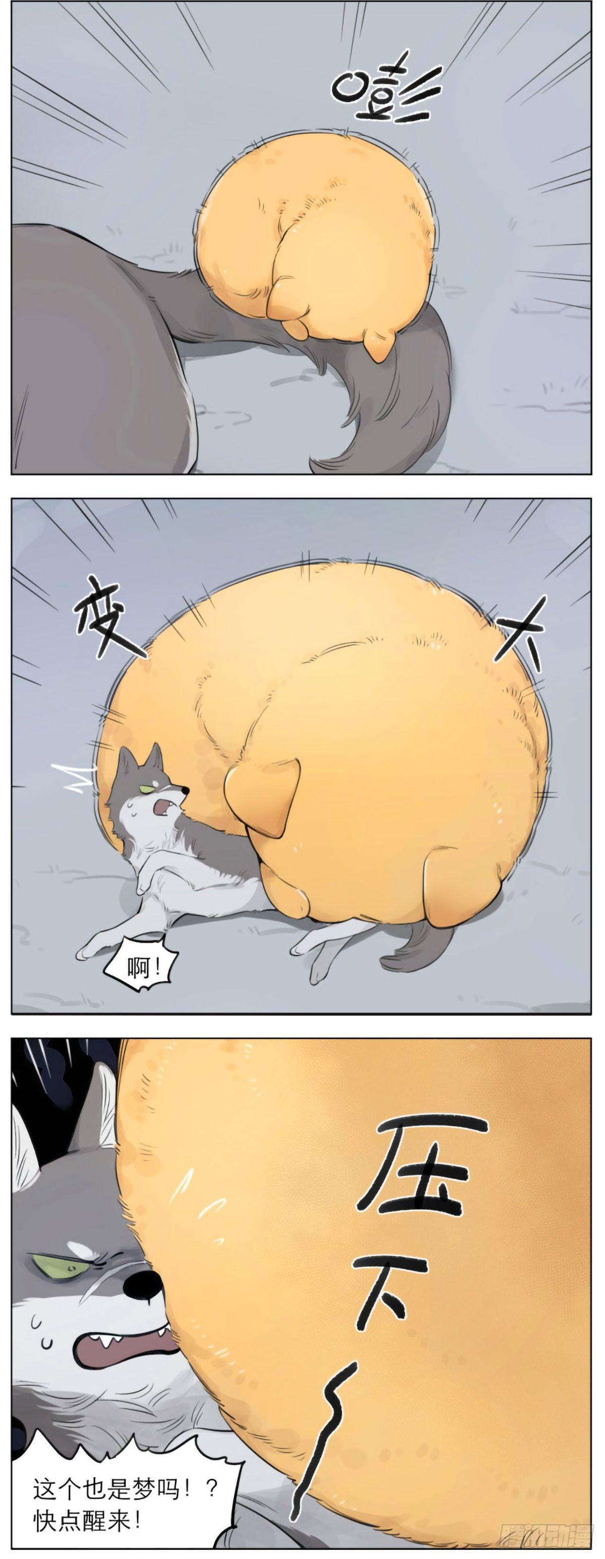 狼王的梦3