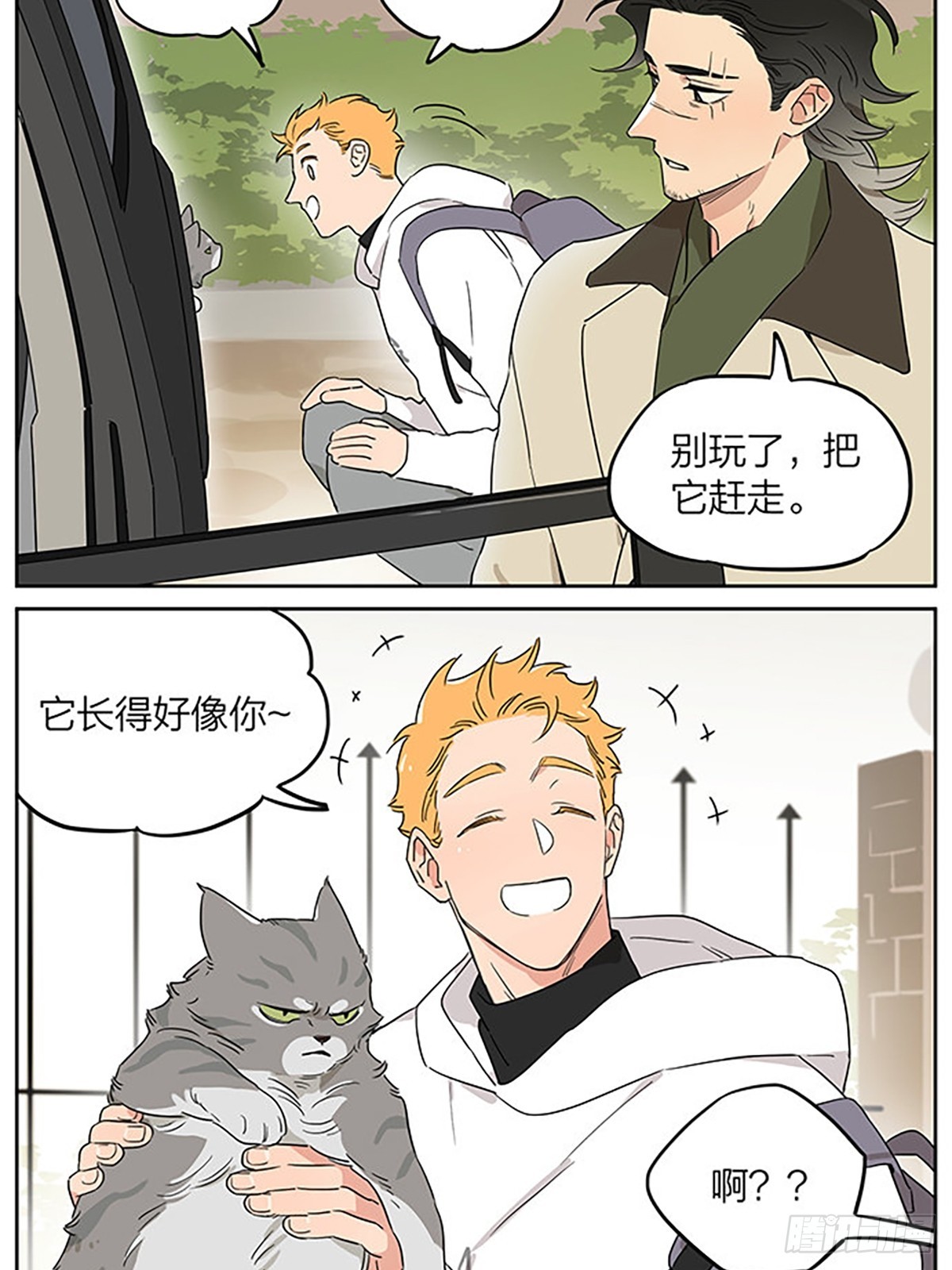 撸猫2