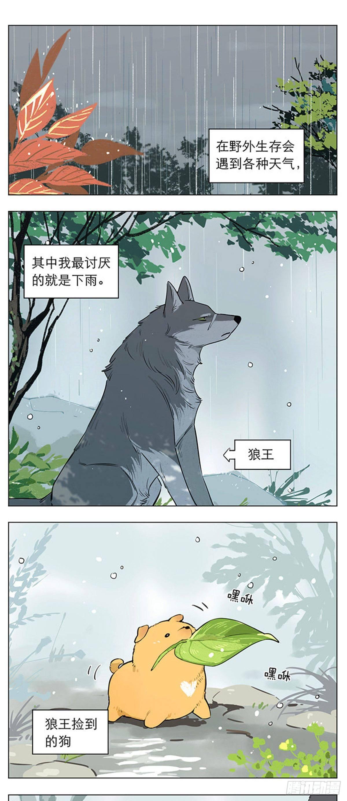下雨天的狼王0