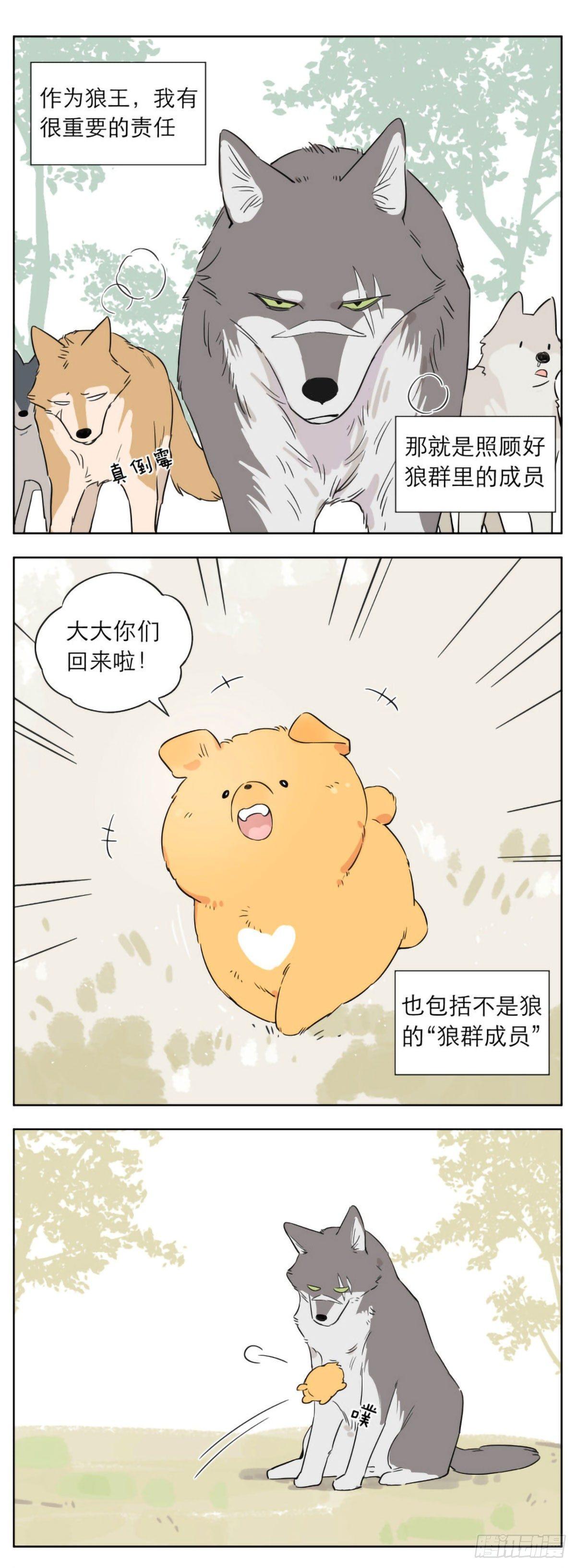 狼王的责任0