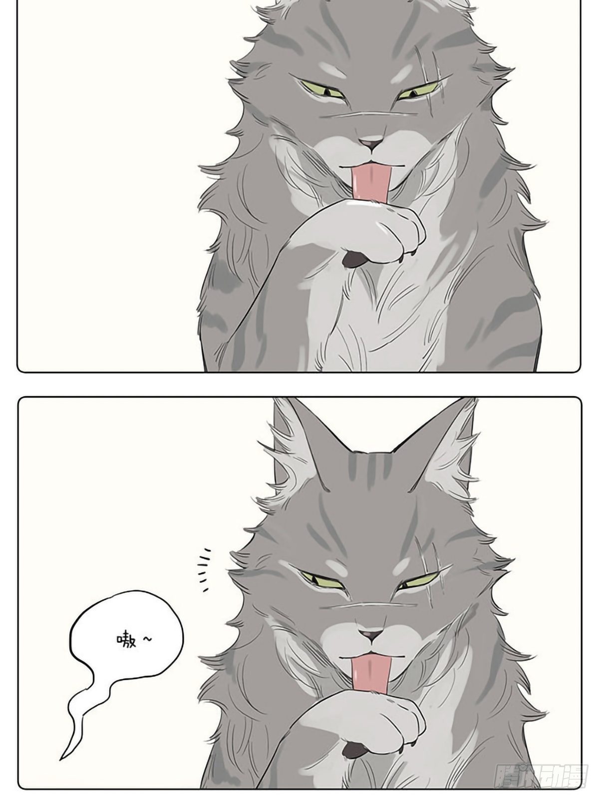 如果他们是猫。 ​​​​2
