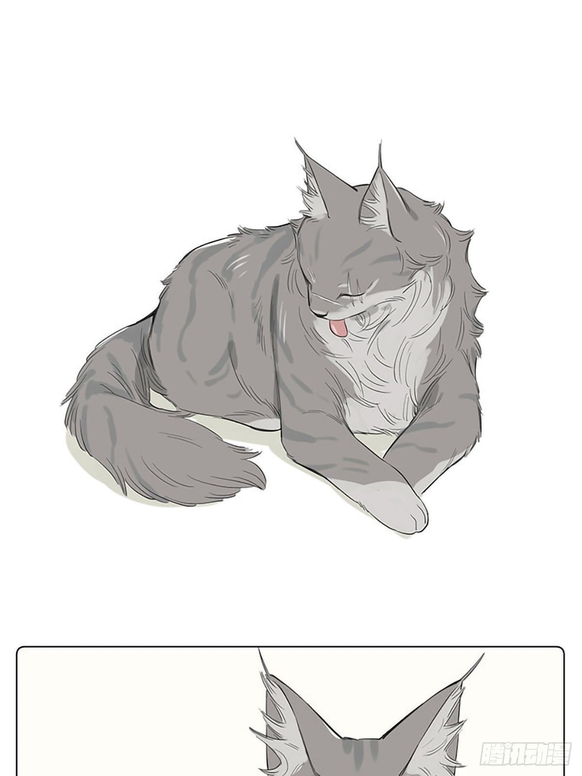 如果他们是猫。 ​​​​1