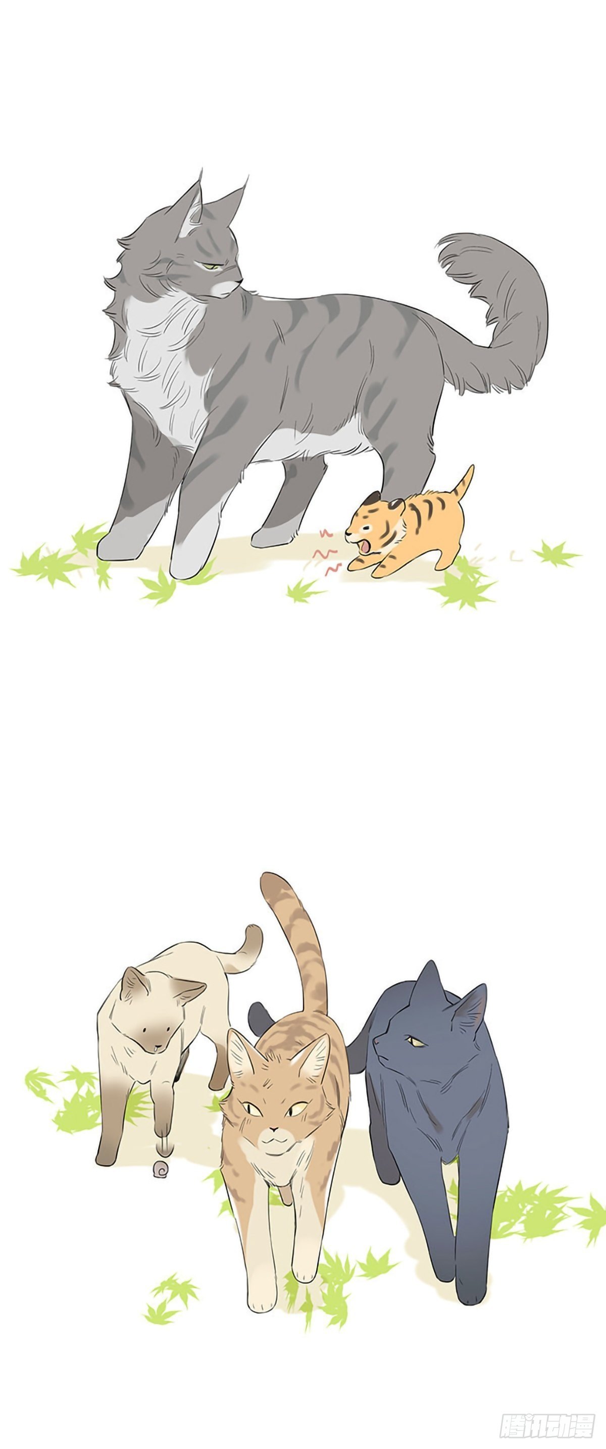 如果他们是猫。 ​​​​0