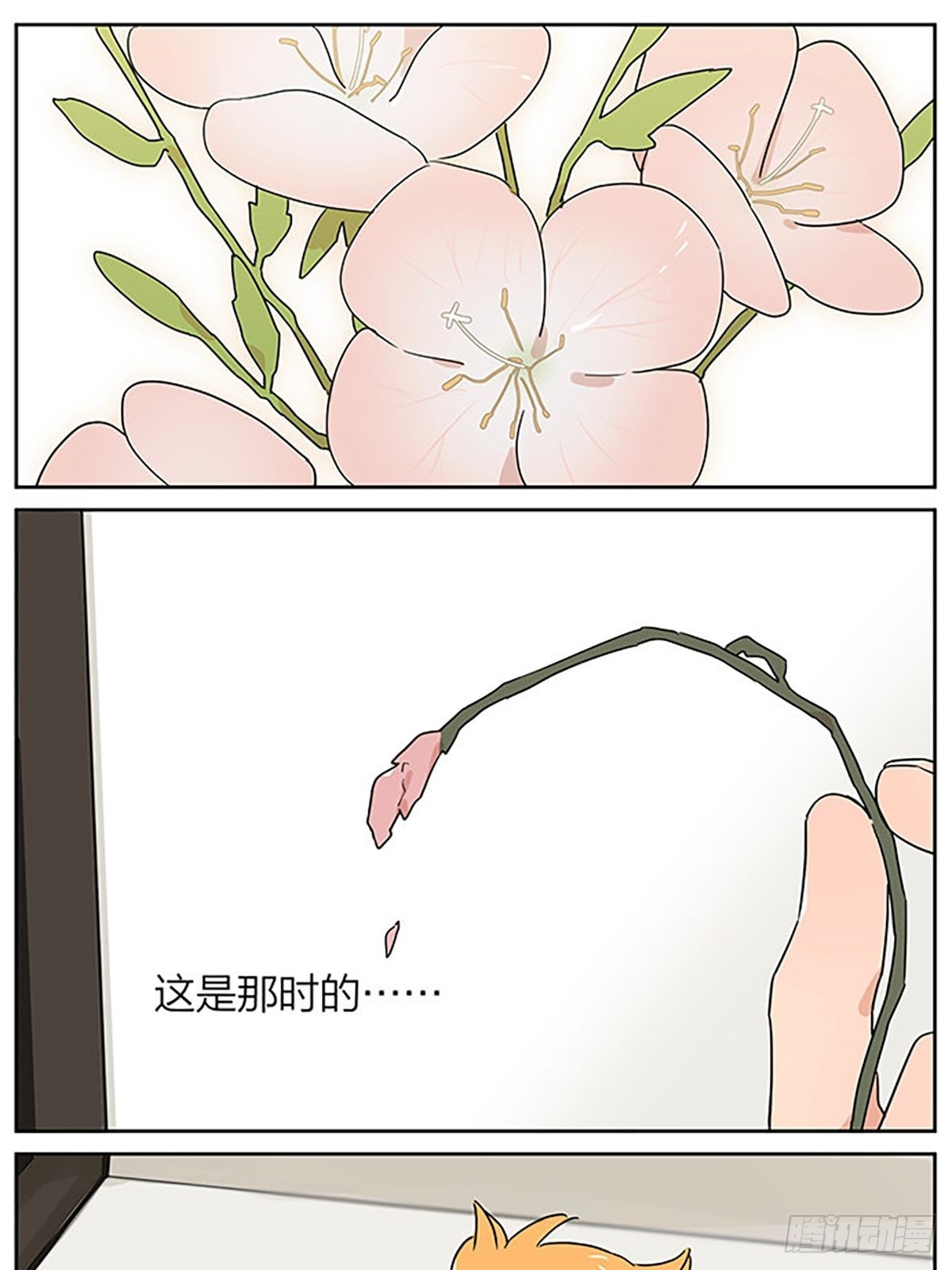 秘密21