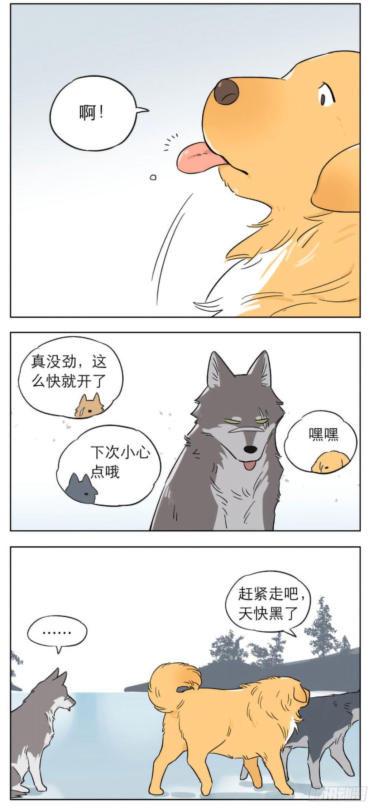 发生在冬天里的另一件事5