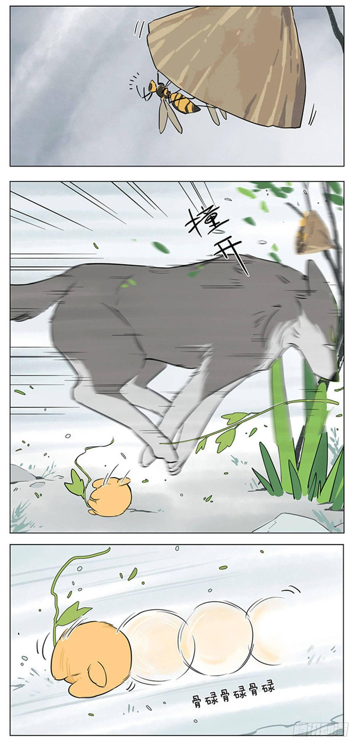 下雨天的狼王5