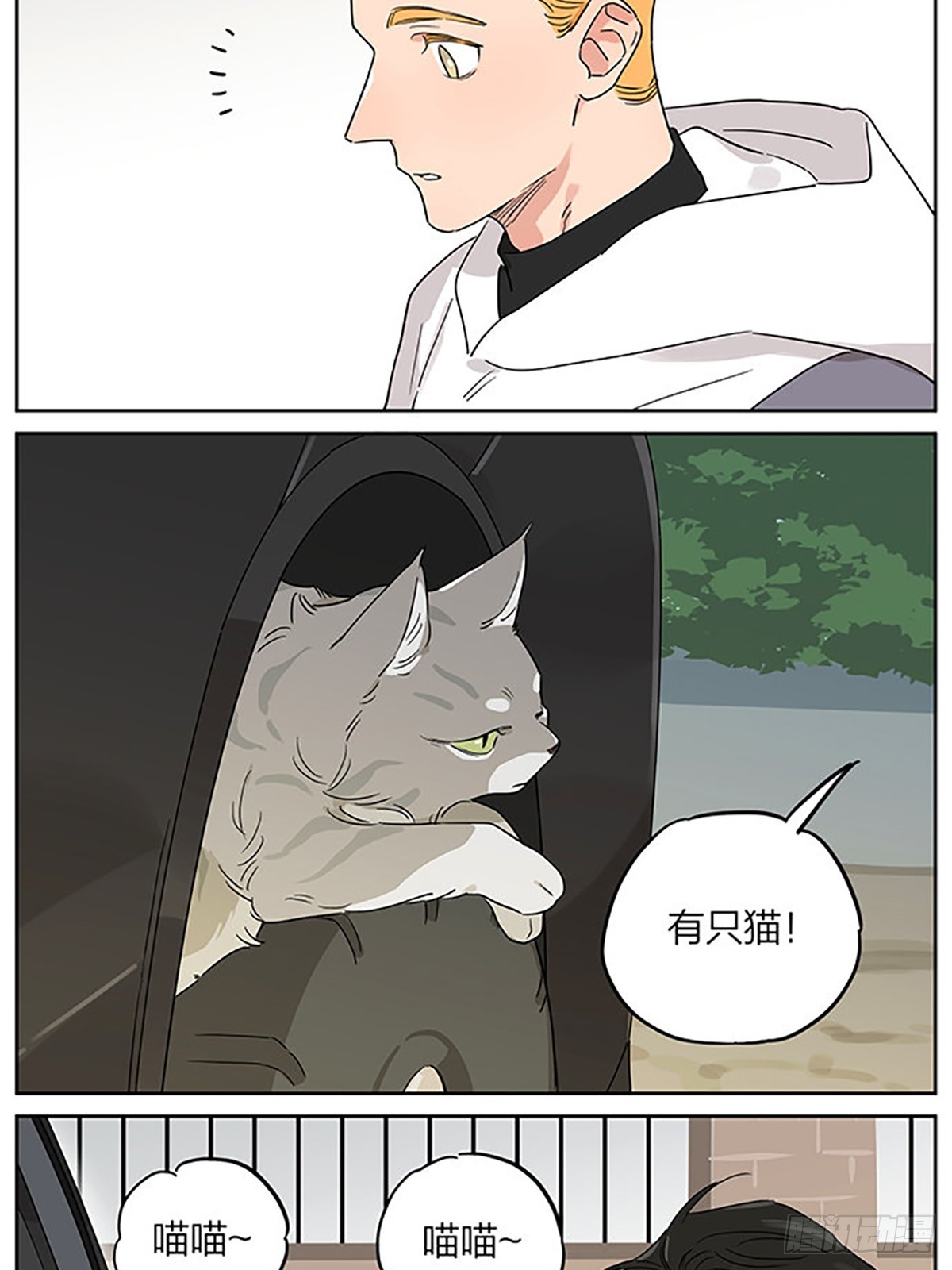 撸猫1