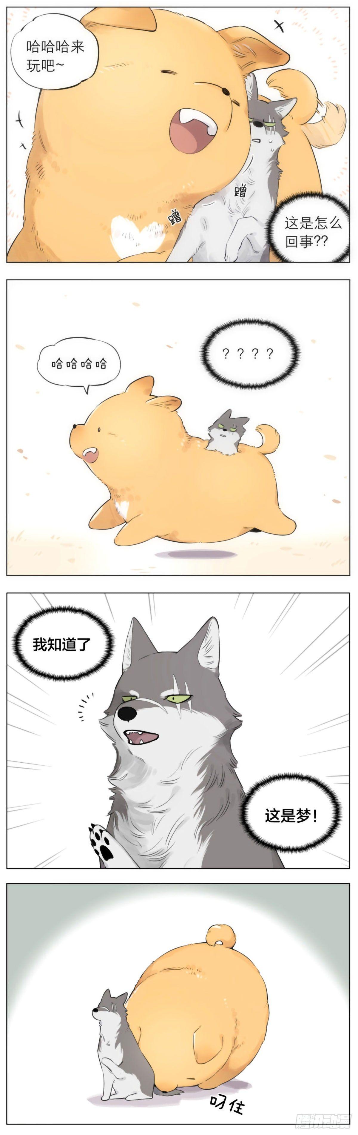 狼王的梦1