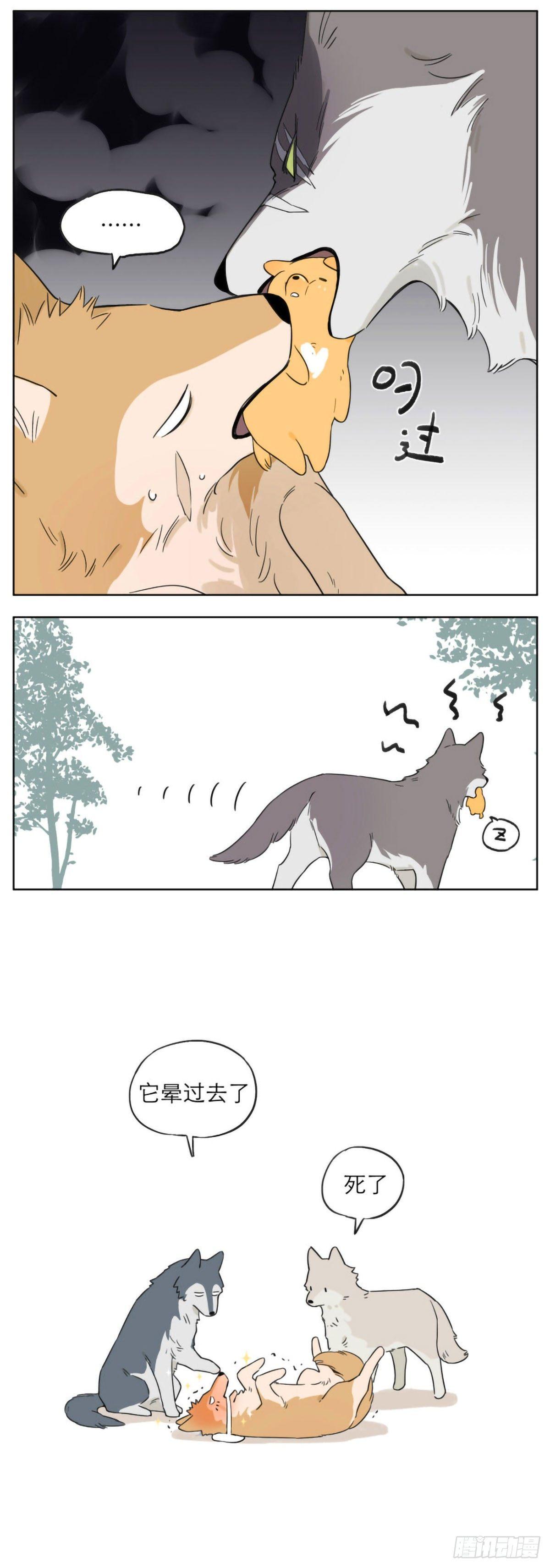 狼王的小弟6