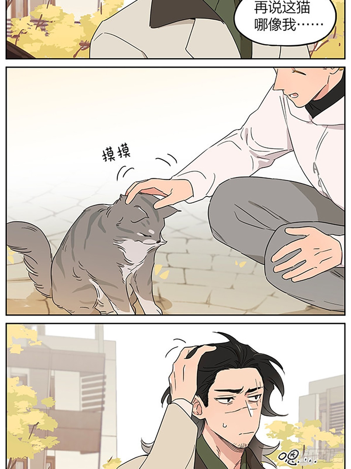 撸猫4