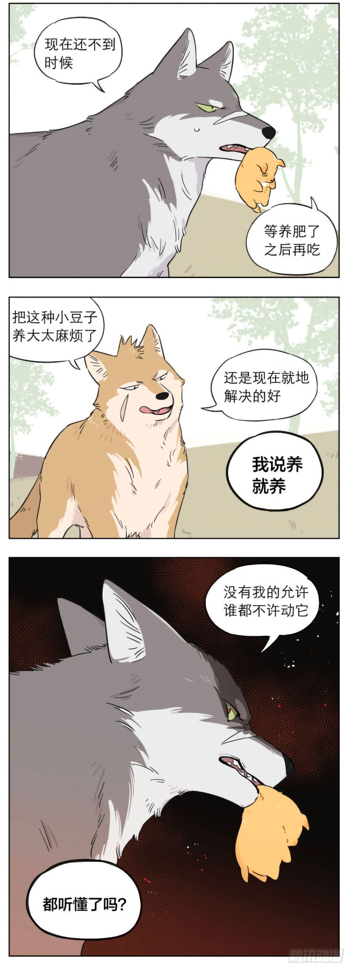 狼群里的小弟们 ​​​8