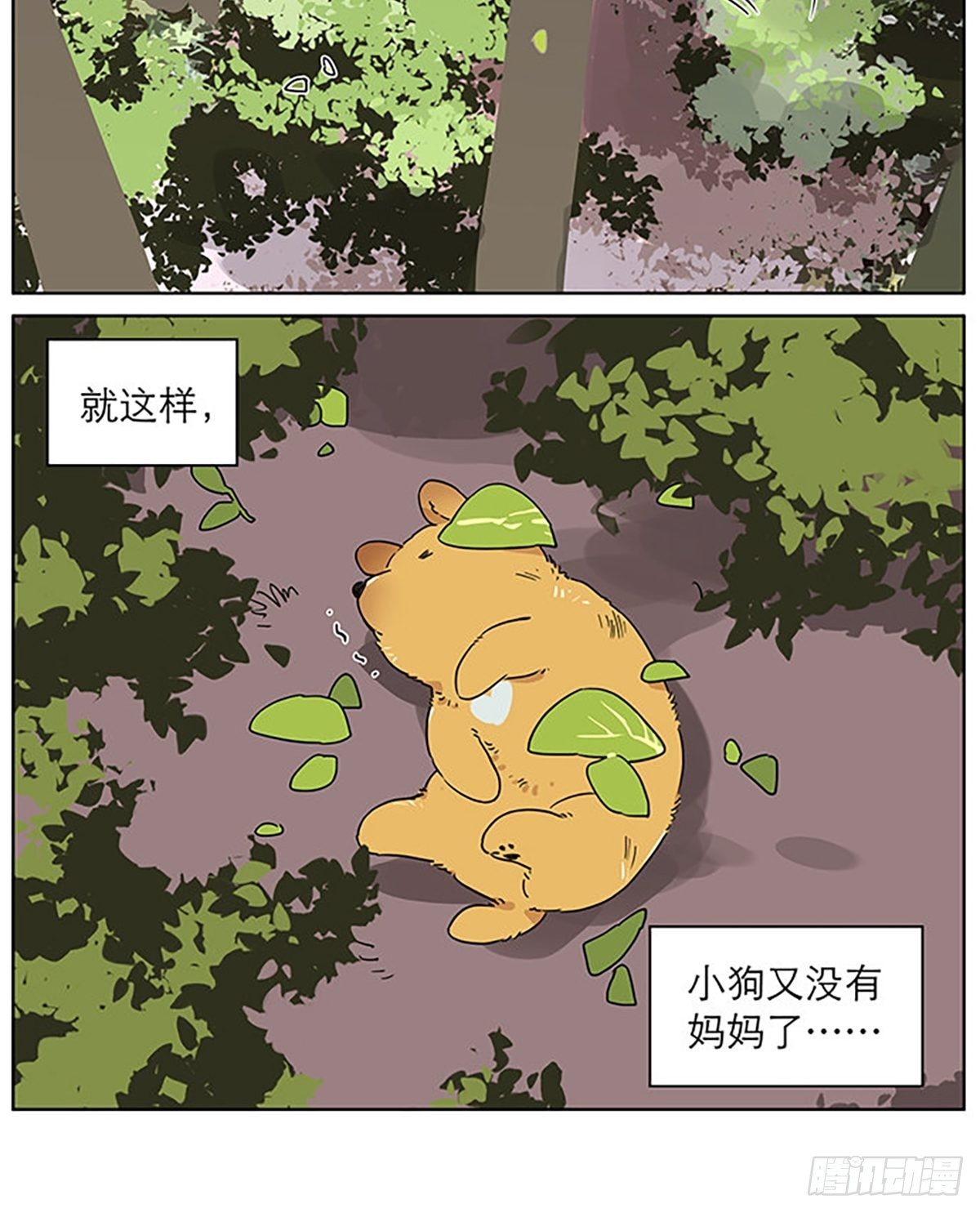 小狗的故事8