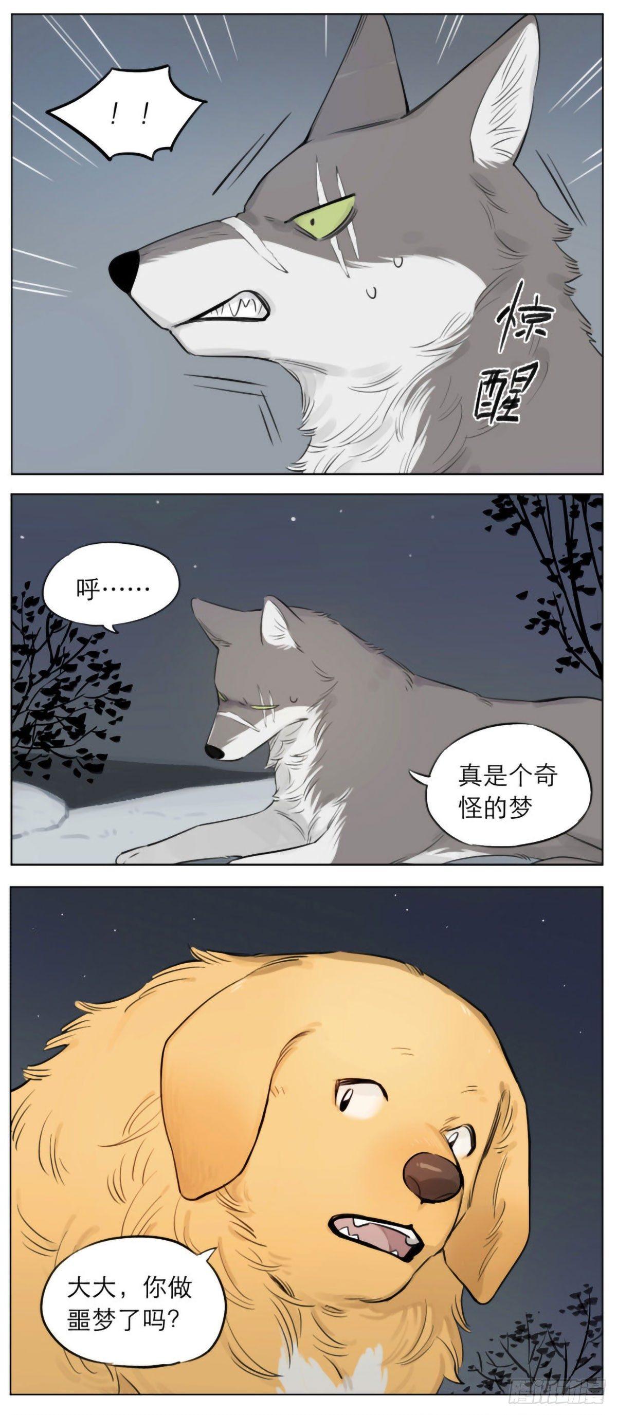 狼王的梦4