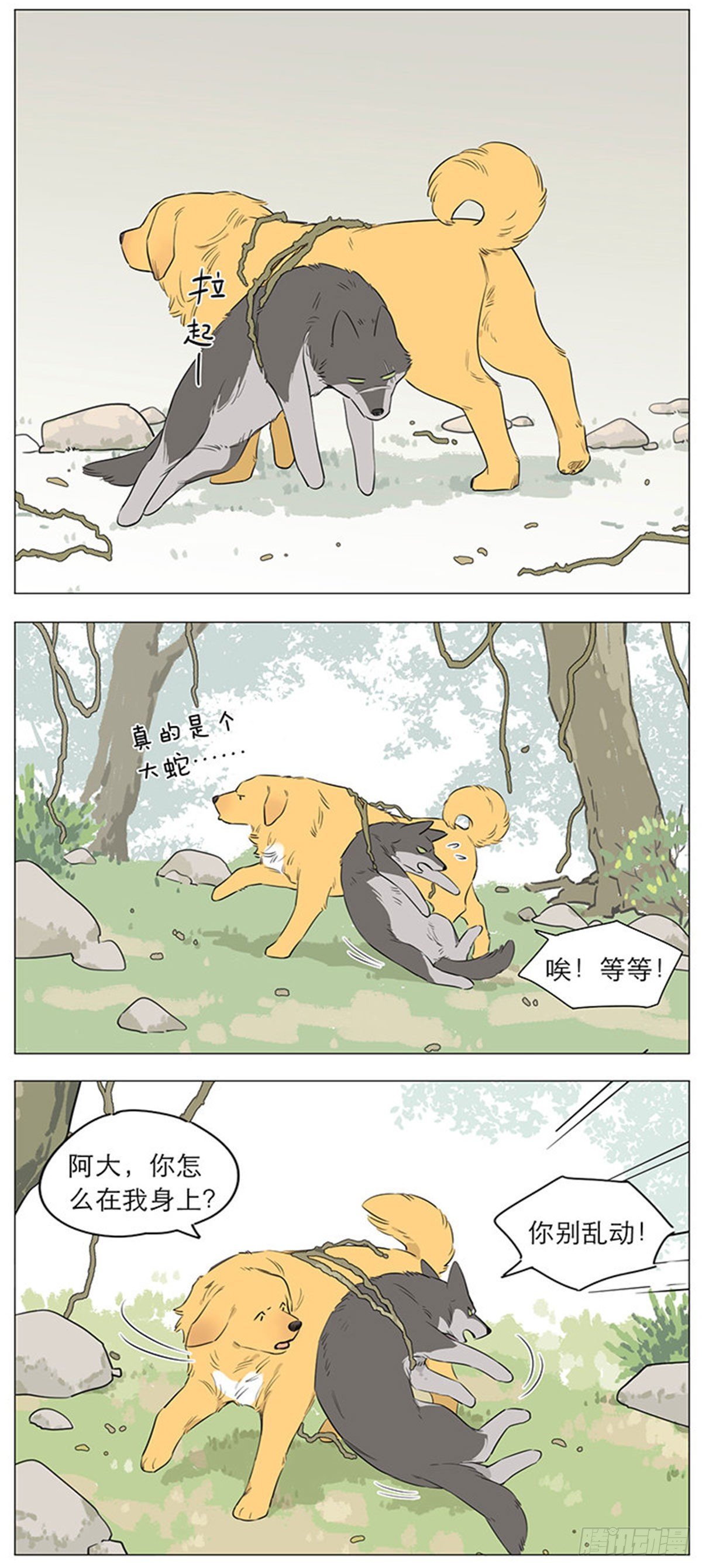 狼王的新称呼5