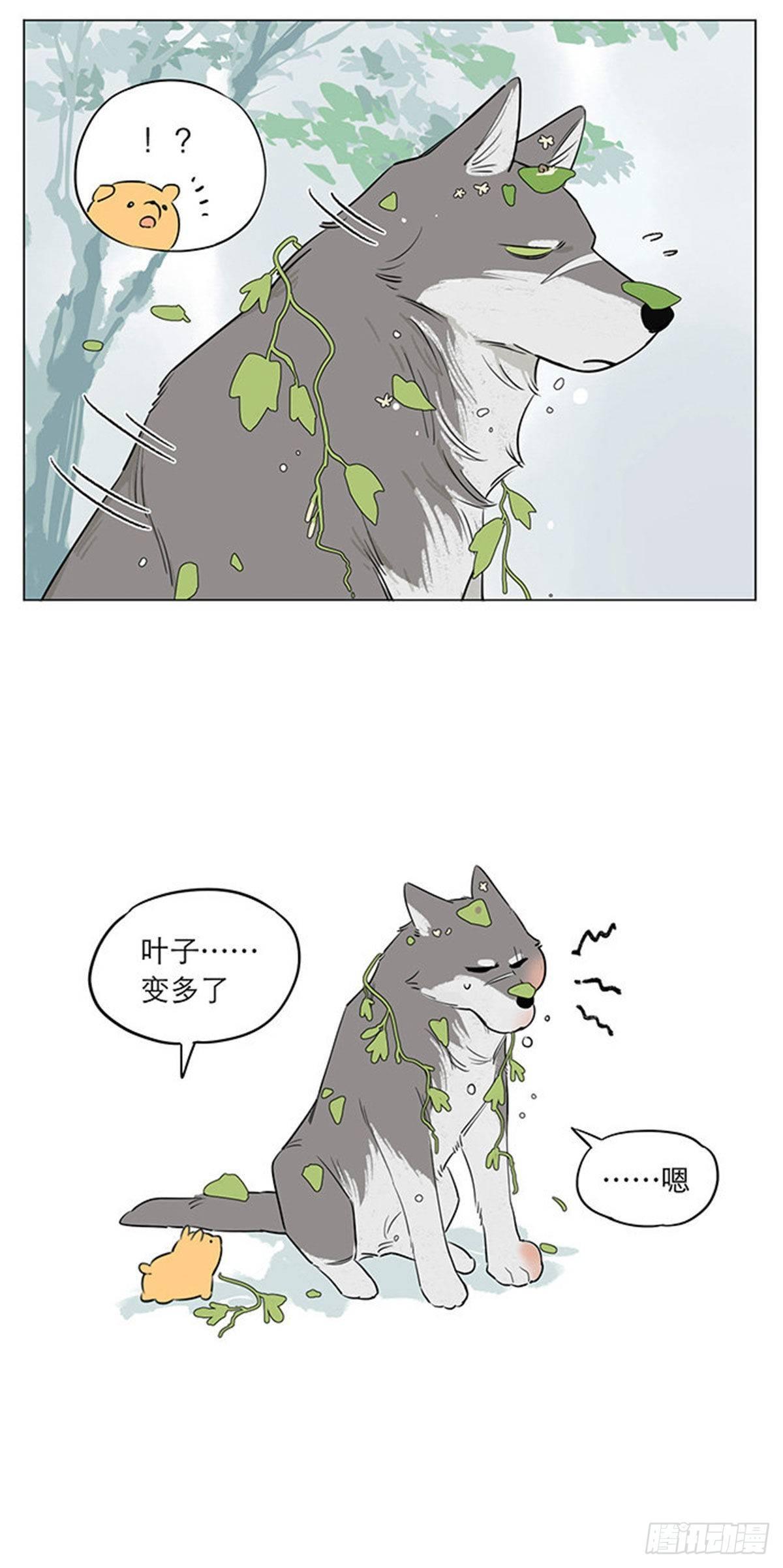下雨天的狼王7