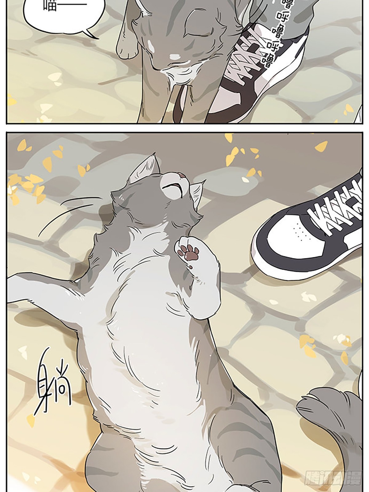 撸猫8