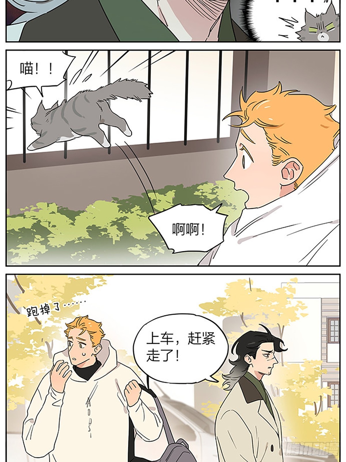 撸猫10