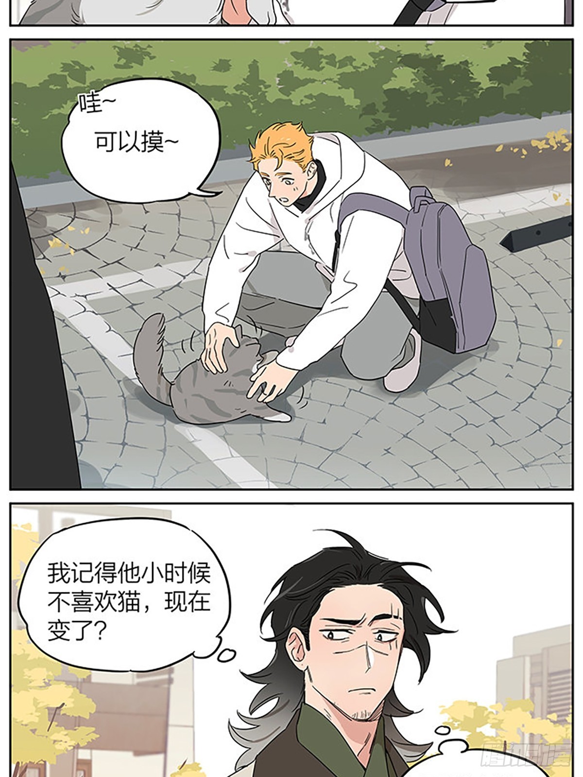 撸猫3
