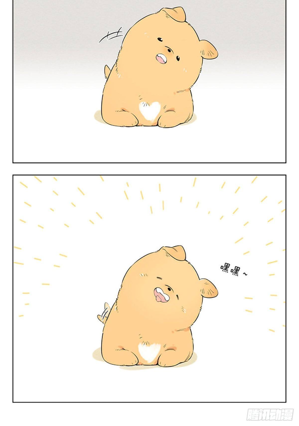两只小土豆。4