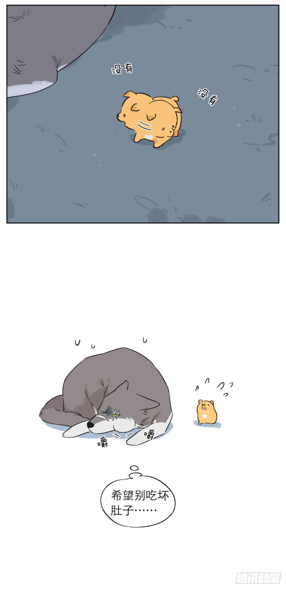 狼王的责任7