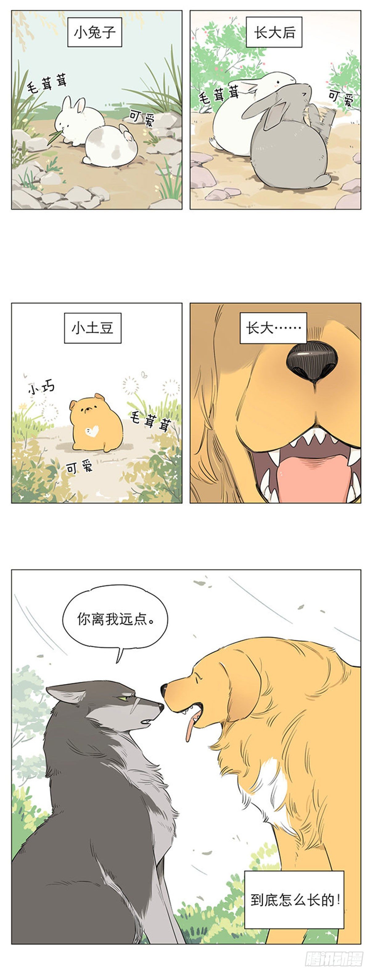 狼王的新称呼1