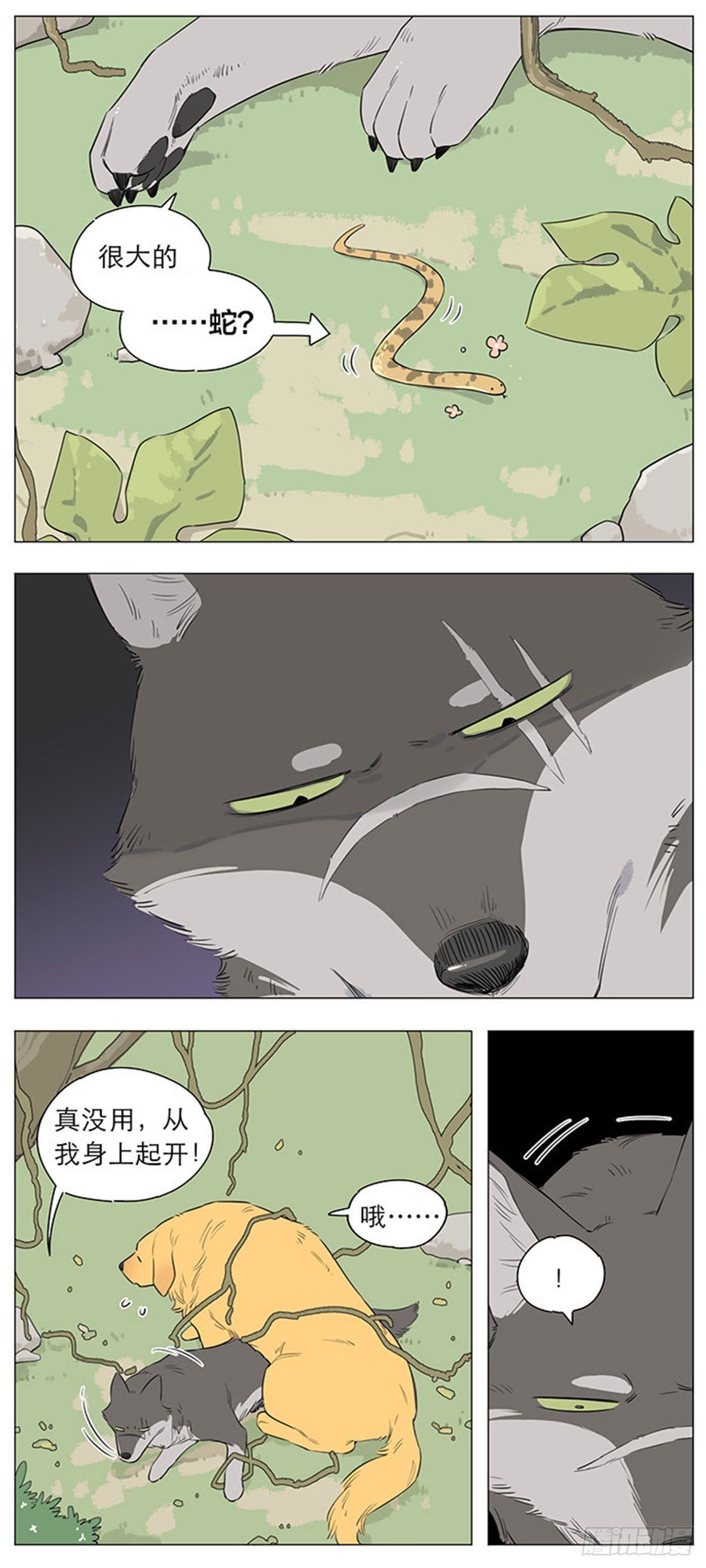 狼王的新称呼4