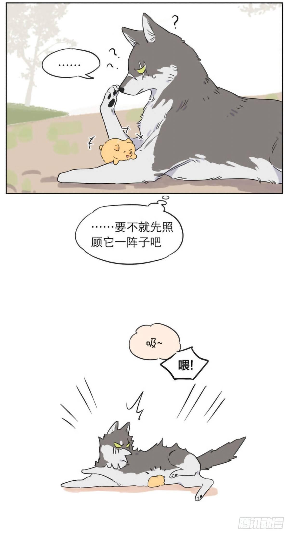 捡到的奶狗有点烦8