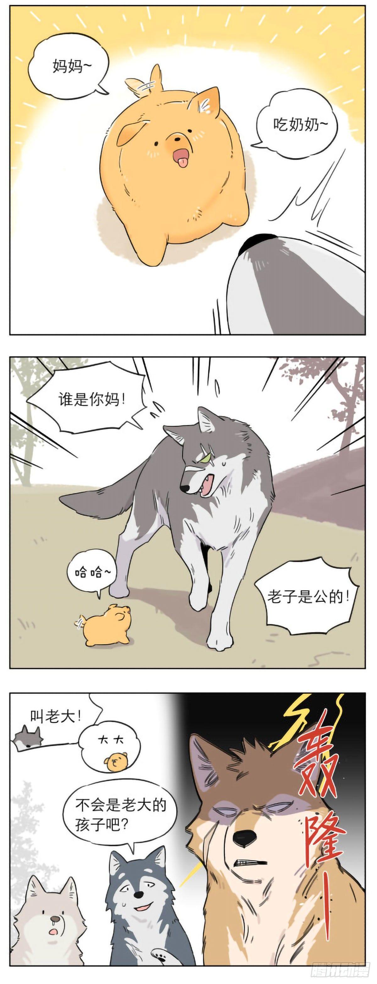 狼群里的小弟们 ​​​6