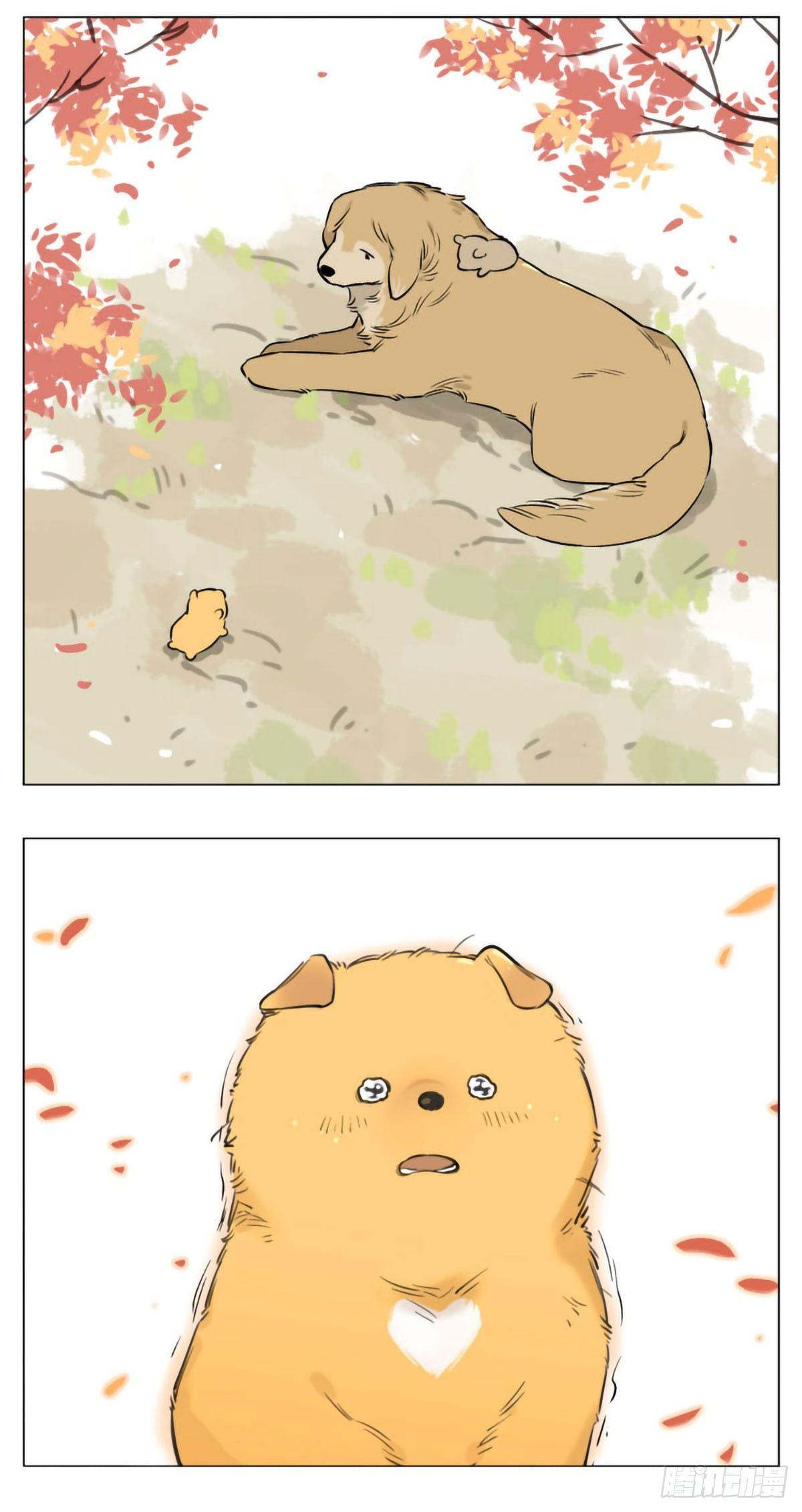 过去的事11