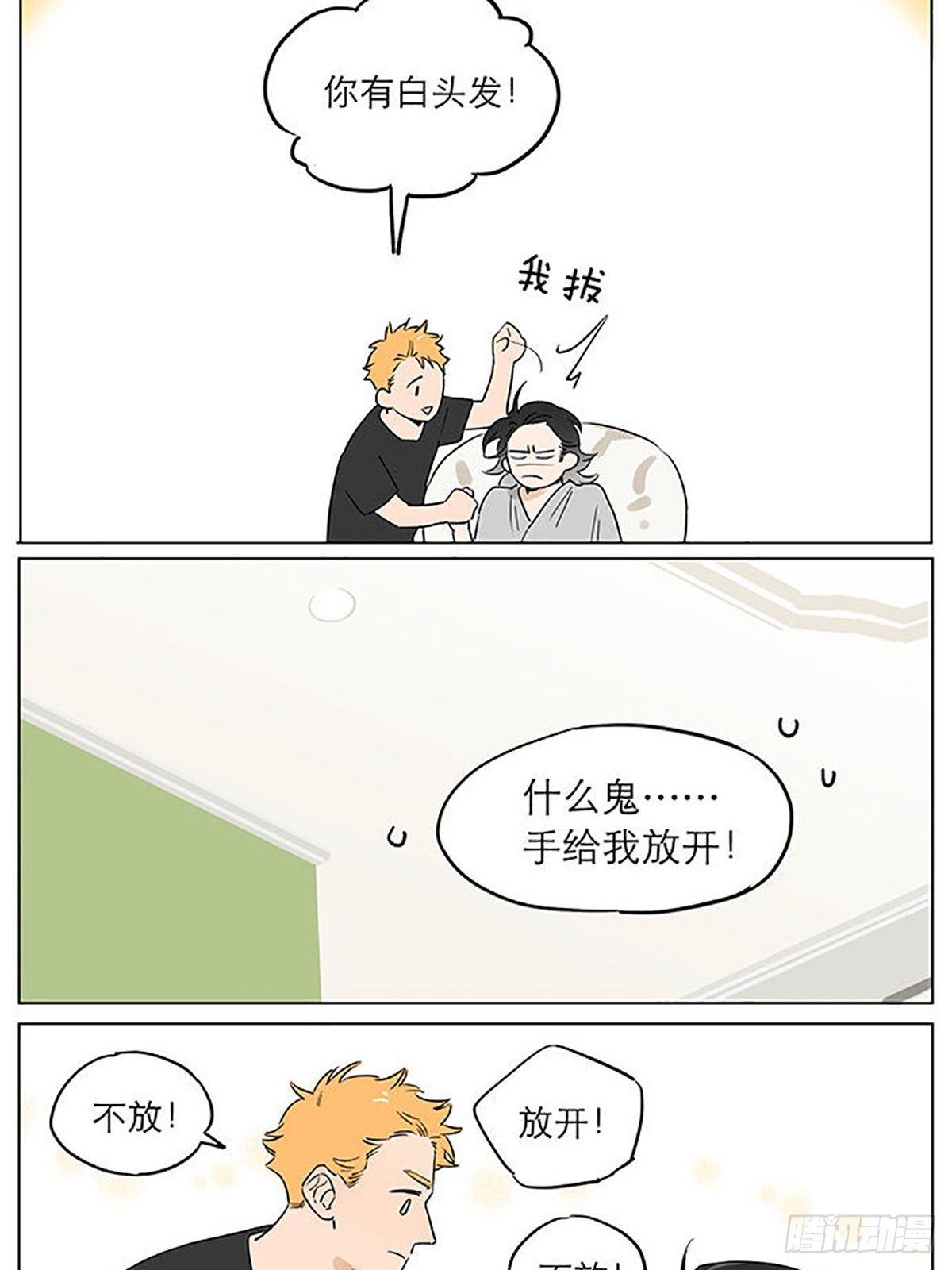 来一丢丢大土豆。12